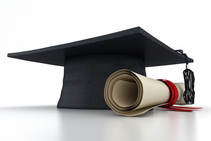 Homologación de títulos universitarios extranjeros en España: cuatro grupos de profesiones
